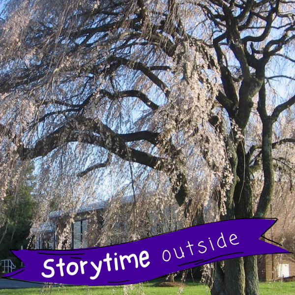Image for event: Storytime Outside @ Fairview Branch